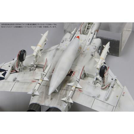 McDonnell Douglas F-4J  Phantom II "Aardvarks"