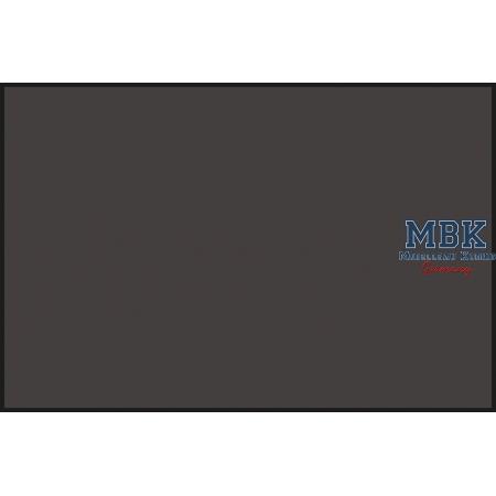 Mr.Color LASCIVUS BLACK HAIR (10ml)