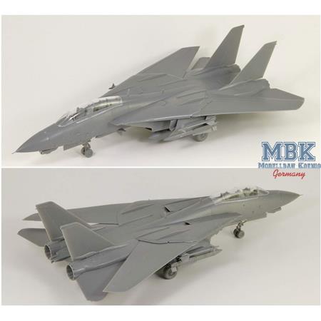 Grumman F-14D Tomcat VF-2 "Bounty Hunters"