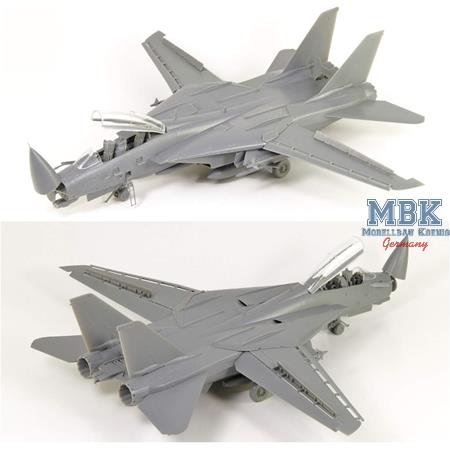 Grumman F-14D Tomcat VF-2 "Bounty Hunters"