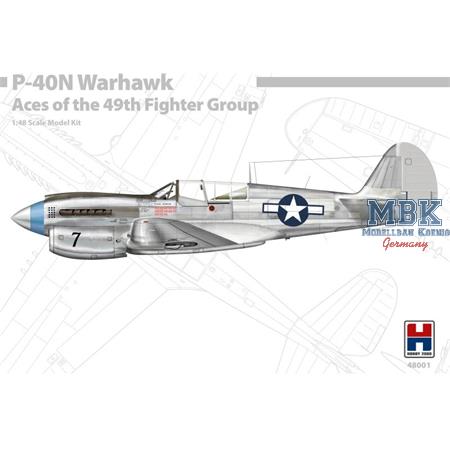 Curtiss P-40N Warhawk - Aces 49th Fighter Group