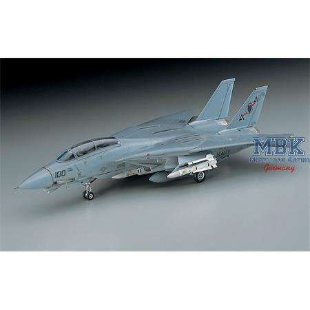 Grumman F-14A Tomcat (Low Visibility) (E2)