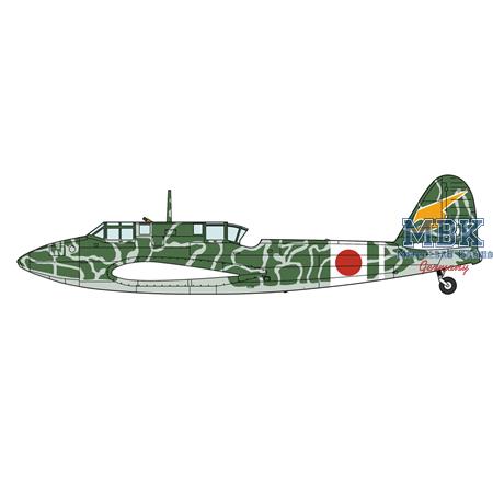 Kawasaki Ki-45Kai Tei TORYU 53th Flight Regiment