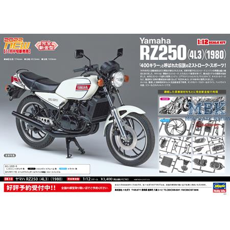 Yamaha RZ250 (4L3) (1980) (BK13)
