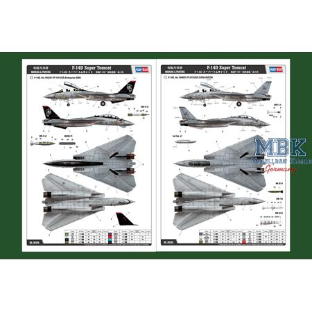 Grumman F-14D Super Tomcat