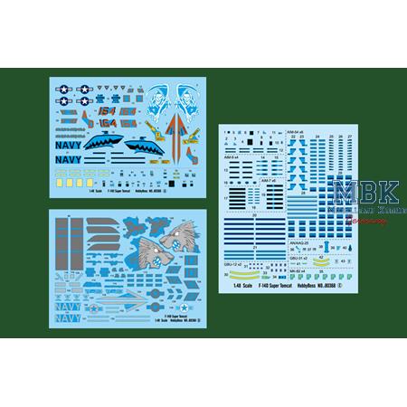 Grumman F-14D Super Tomcat