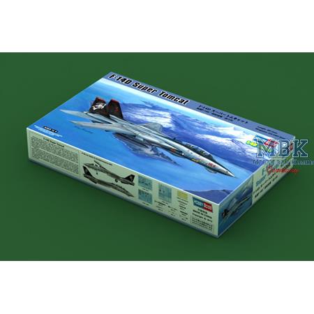 Grumman F-14D Super Tomcat