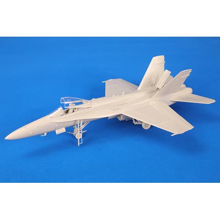 McDonnell Douglas F/A-18C „Hornet“
