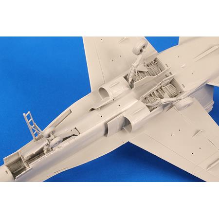 McDonnell Douglas F/A-18C „Hornet“