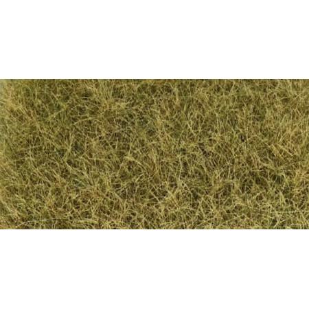 Herbst Gras hell DIN A6 12-36mm