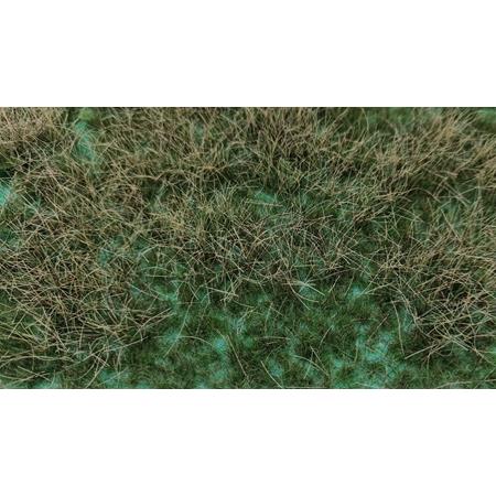 Trockenes Gras Vollfläche DIN A6