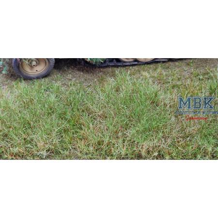 Matte Weg Herbst DIN A4 2-26mm