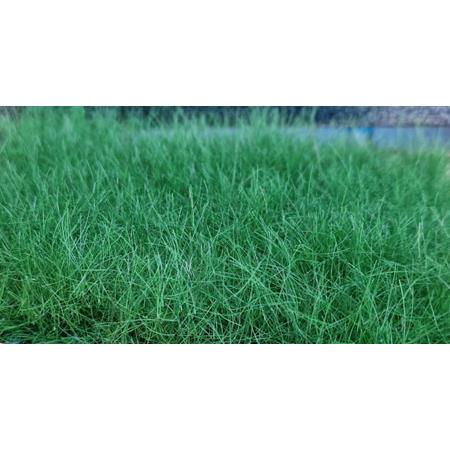 Fasern 12mm Sommer