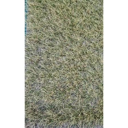 Fasern 12mm trockenes Gras