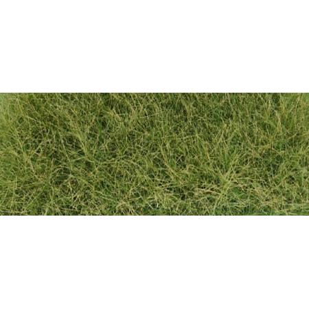 Frühlings Gras hell DIN A6 12-36mm