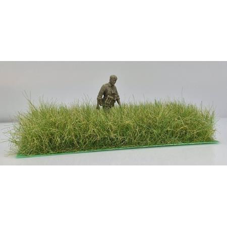 Frühlings Gras hell DIN A6 12-36mm