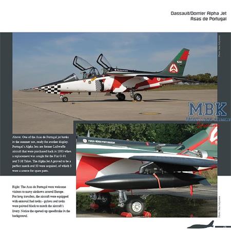 Duke Hawkins: The Dassault/ Dornier Alpha Jet