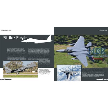 Duke Hawkins: Boeing F-15E Strike Eagle