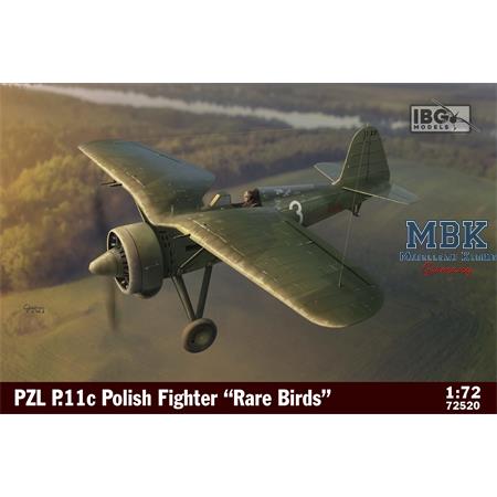 PZL P.11c Polish Fighter - Rare Birds