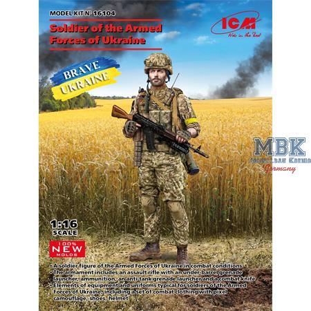 Soldier of the Armed Forces of Ukraine