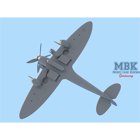 Spitfire Mk.IXC 'Beer Delivery'