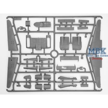 Luftwaffe night fighters