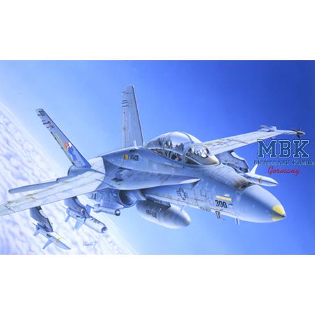 Boeing F/A-18 Hornet (Wild Weasel C/D)