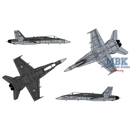 Boeing F/A-18 Hornet (Wild Weasel C/D)