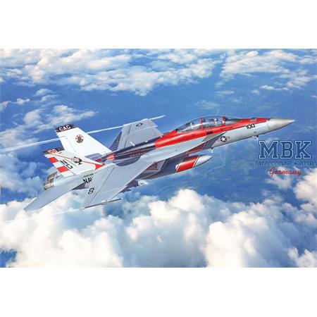 Boeing F/A-18F U.S. Navy Special Colors 1/48