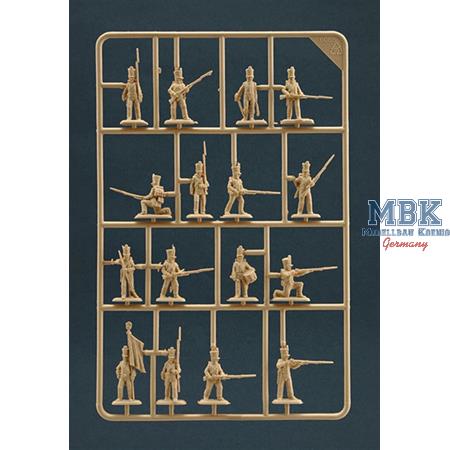 French Infantry - Napoleonic Wars