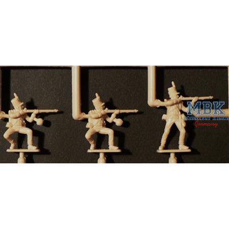 British Infantry 1815 - Napoleonic Wars