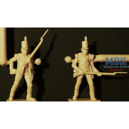 British Infantry 1815 - Napoleonic Wars