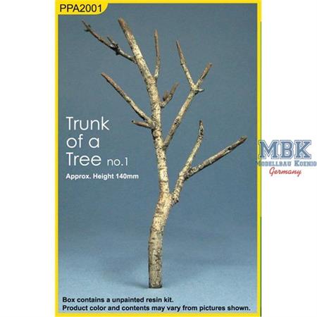 Tree Trunk 1