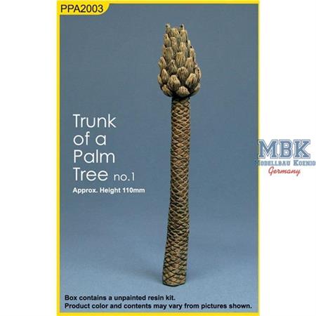 Palm Tree Trunk 1