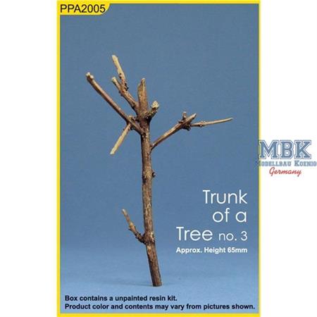 Tree Trunk 3