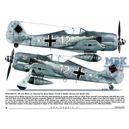 Kagero Topcolors 35 Fw 190s over Europe Part 1