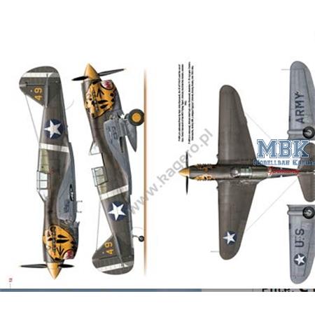 Camouflage & Decals - Curtiss P-40