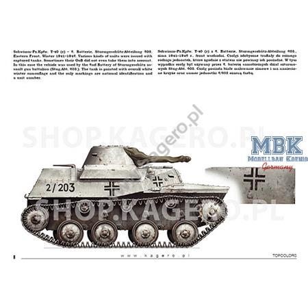 Kagero Topcolors 41  Beutepanzer