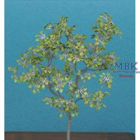 Lime Tree (1/35 scale)