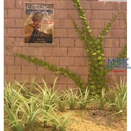 Weed,Ivy (All scale)