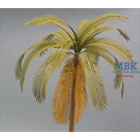 Palm (1/35)