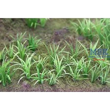 Weed II