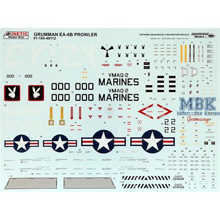 Grumman EA-6B Prowler - VMAQ-2 "Playboys"
