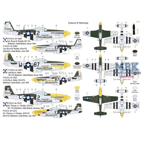 North American  P-51D-5 Mustang “361st FG”