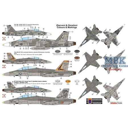 McDonnell Douglas F/A-18B Hornet "Low-vis"