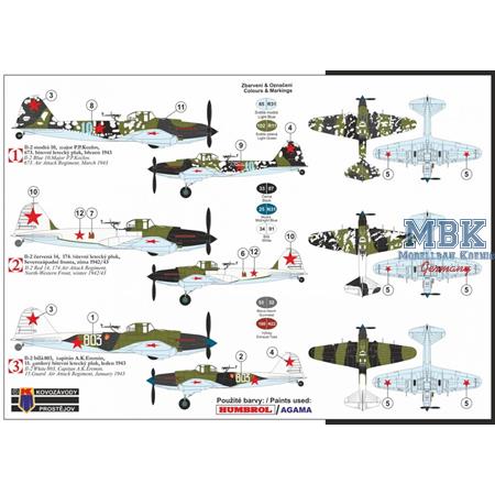 Ilyushin IL-2 „Interim Gunners Station“