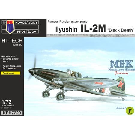 Ilyushin IL-2 „Black Death“