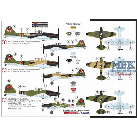 Ilyushin IL-2 „Black Death“