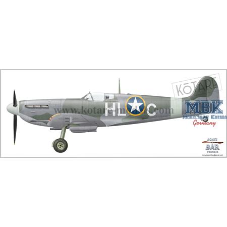 Spitfire Mk.Vb (Early)