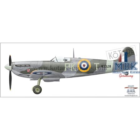 Spitfire Mk.Vb (Early)